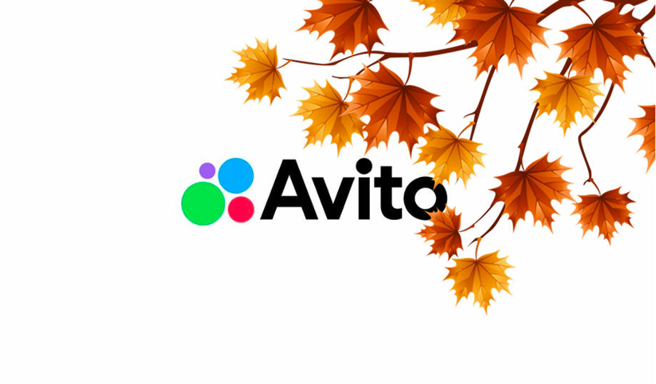 что продавать на авито осенью